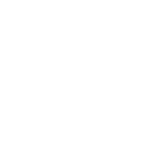Phenix-Logo-BLANC