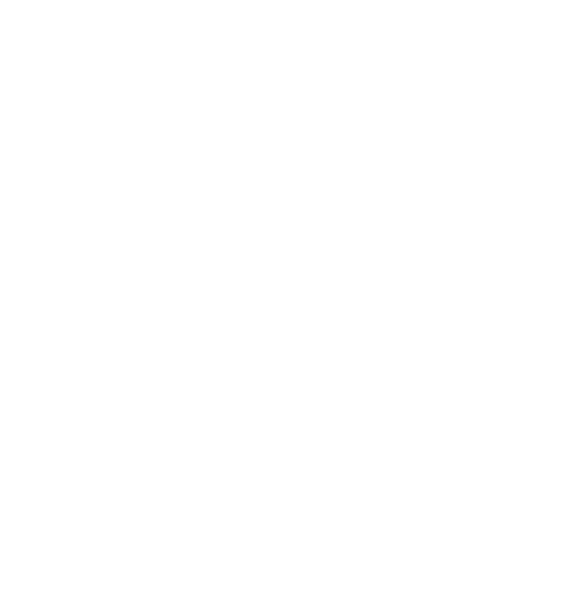 Phenix-Logo-BLANC